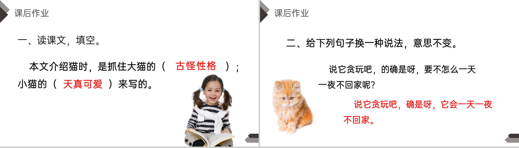 《猫》人教版四年级语文下册精品PPT课件-15
