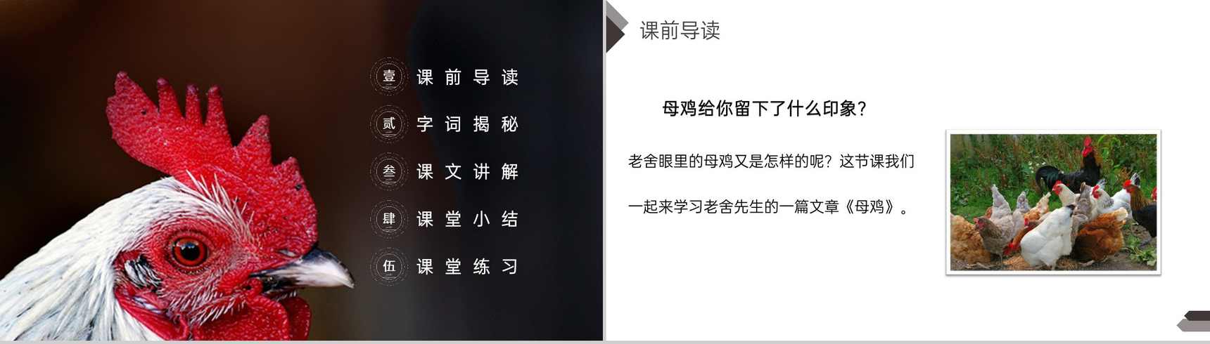 《母鸡》人教版四年级语文下册精品PPT课件-2