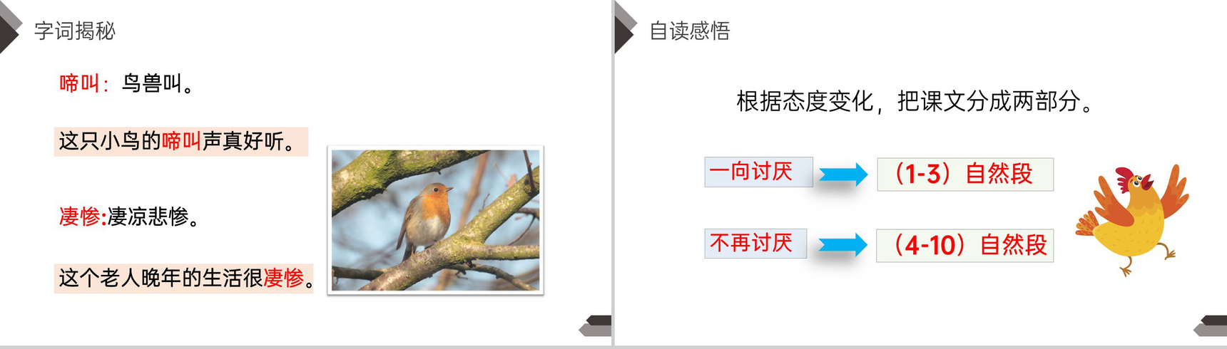 《母鸡》人教版四年级语文下册精品PPT课件-9