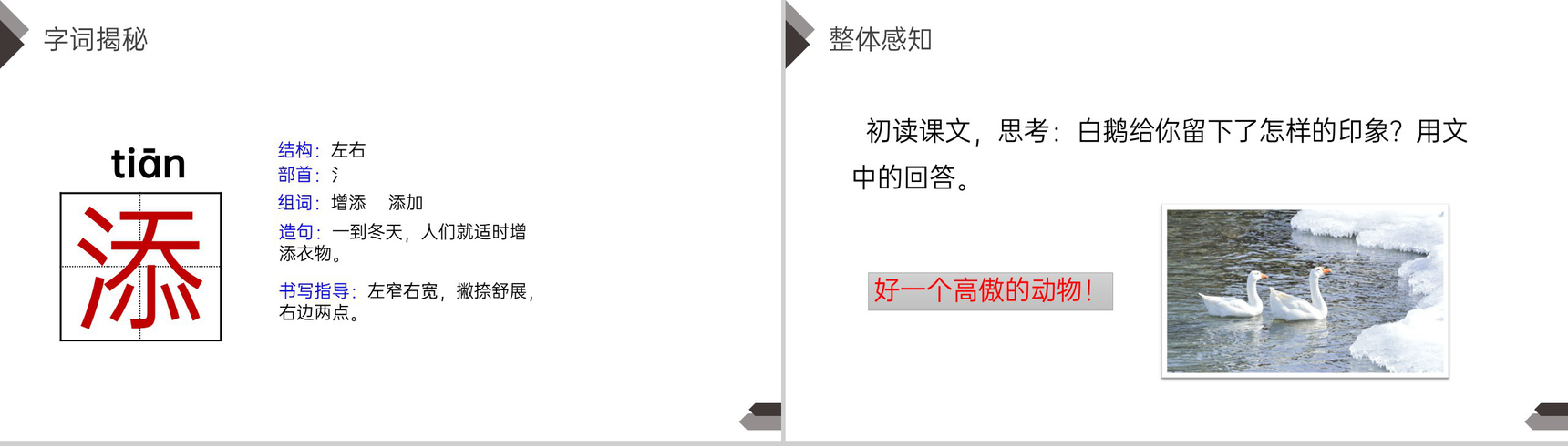 《白鹅》人教版四年级语文下册精品PPT课件-12