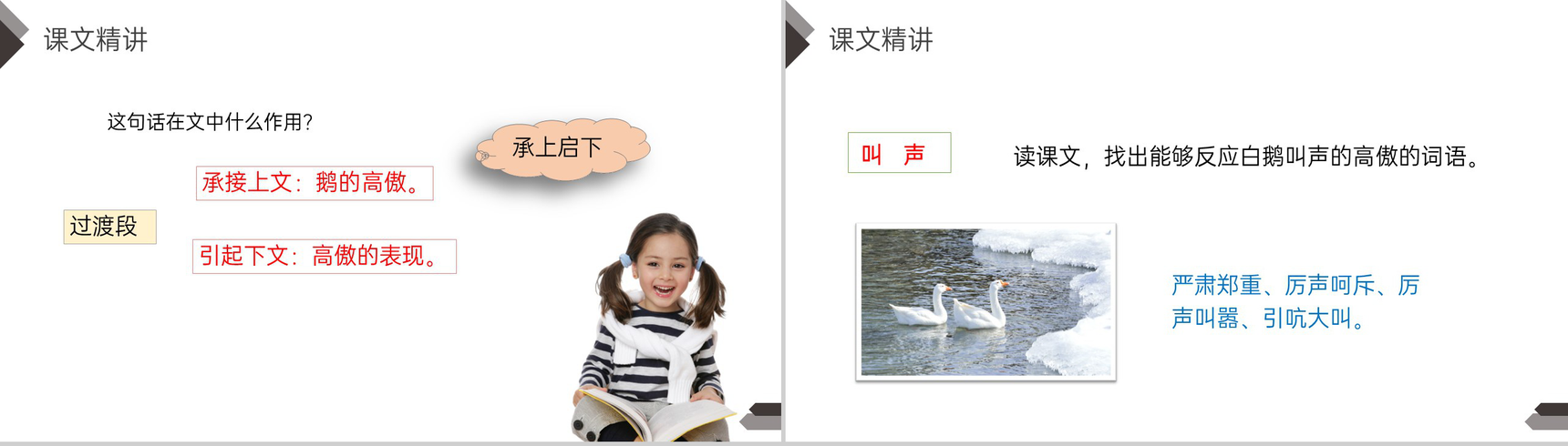 《白鹅》人教版四年级语文下册精品PPT课件-14