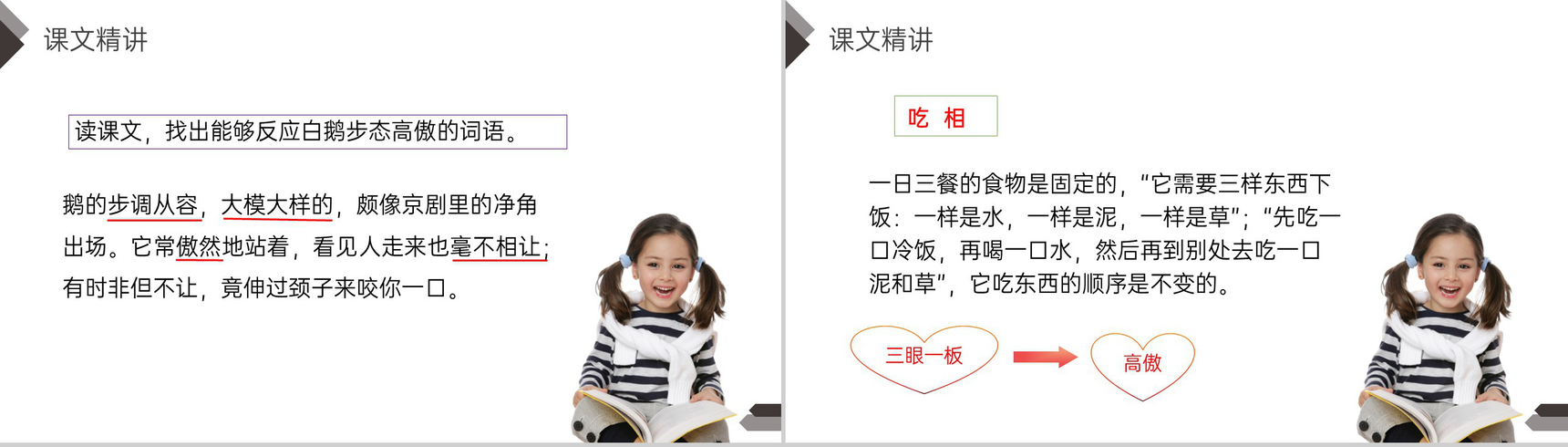 《白鹅》人教版四年级语文下册精品PPT课件-16