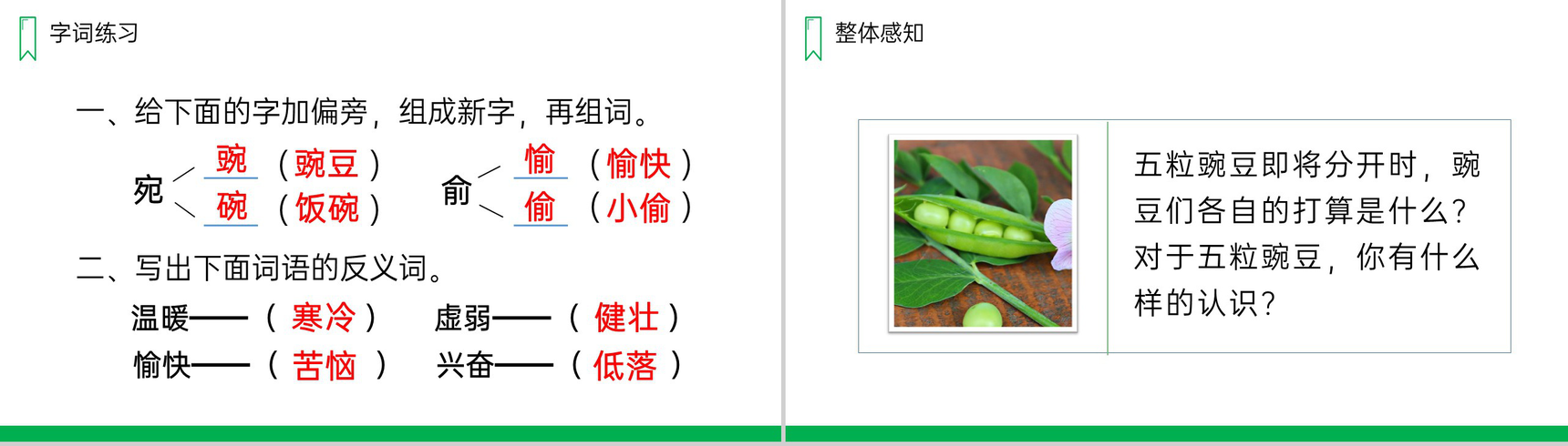 《一个豆荚里的五粒豆》人教版四年级上册语文PPT课件-6