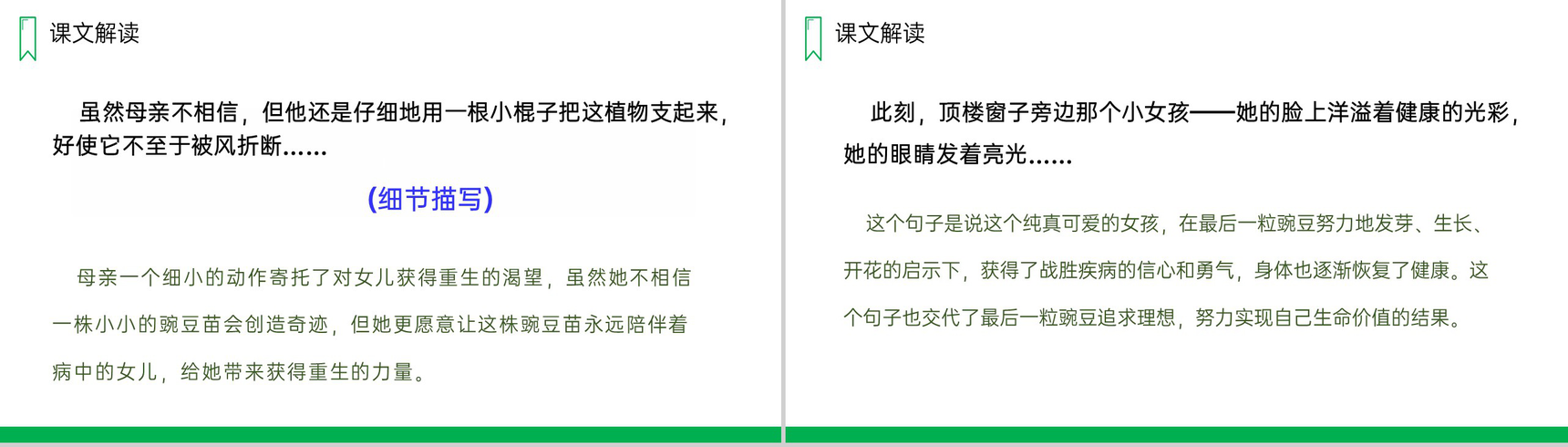 《一个豆荚里的五粒豆》人教版四年级上册语文PPT课件-11