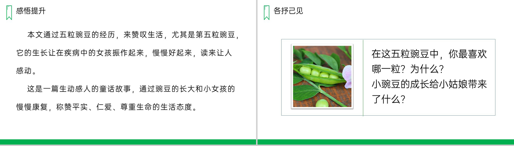 《一个豆荚里的五粒豆》人教版四年级上册语文PPT课件-12