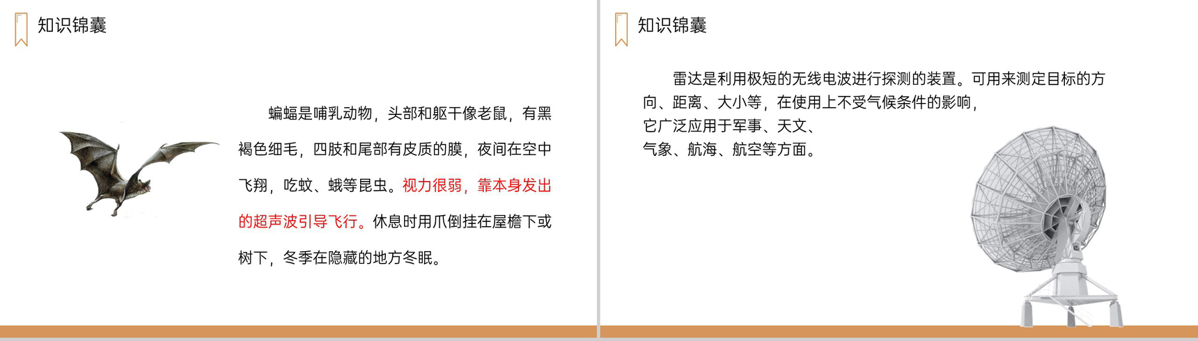 《蝙蝠和雷达》人教版四年级上册语文PPT课件-2