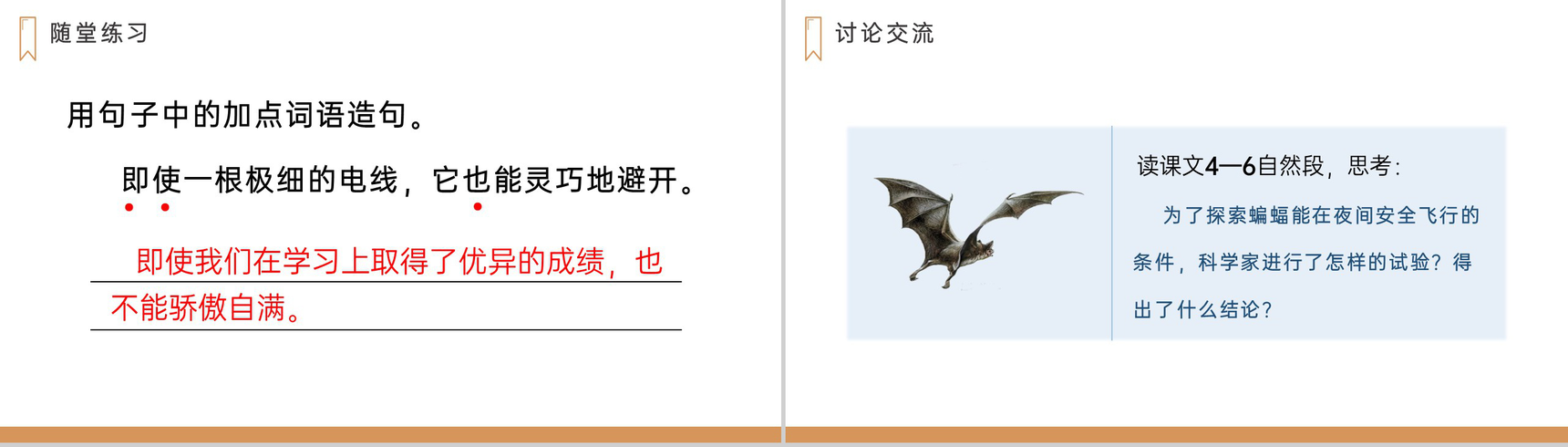 《蝙蝠和雷达》人教版四年级上册语文PPT课件-8