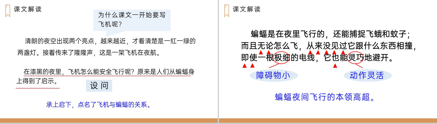 《蝙蝠和雷达》人教版四年级上册语文PPT课件-7