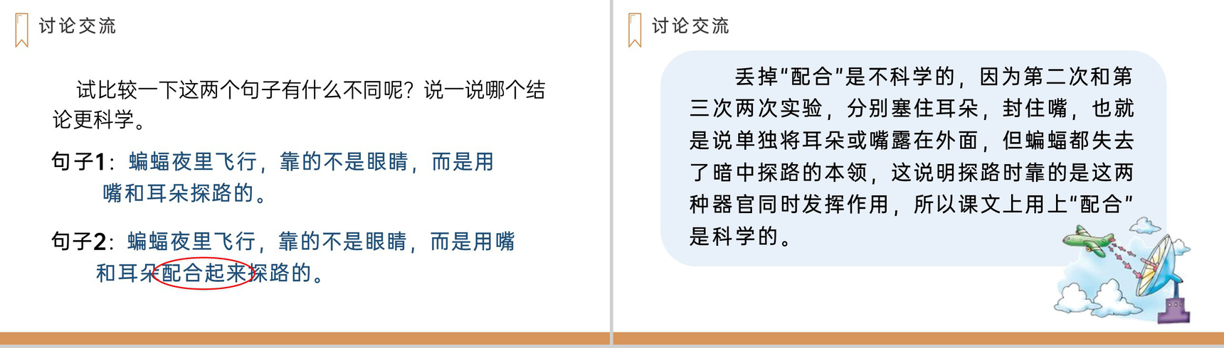 《蝙蝠和雷达》人教版四年级上册语文PPT课件-11