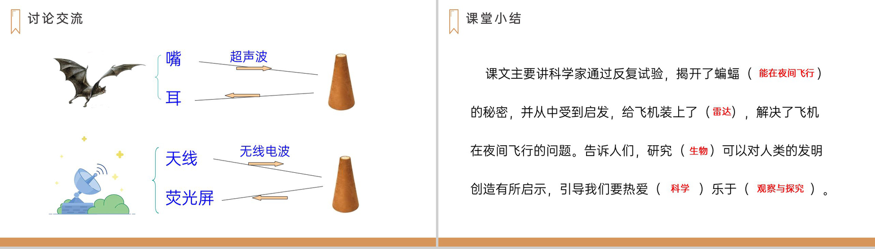 《蝙蝠和雷达》人教版四年级上册语文PPT课件-12
