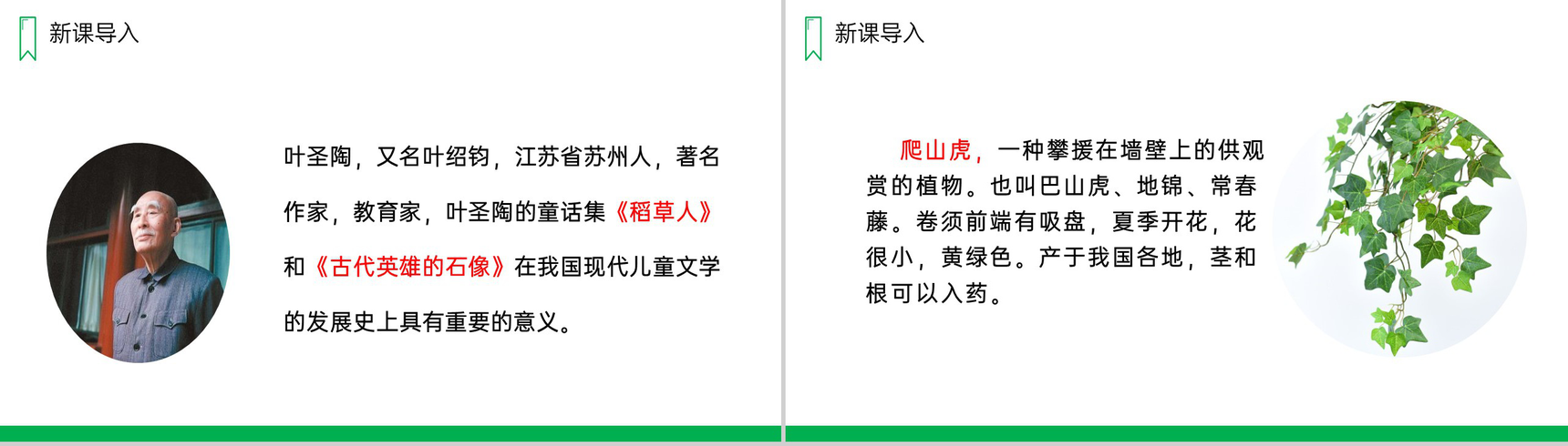 《爬山虎的脚》人教版四年级上册语文PPT课件-2
