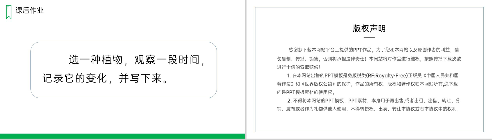 《爬山虎的脚》人教版四年级上册语文PPT课件-10