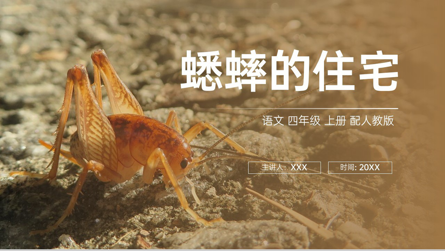 《蟋蟀的住宅》人教版四年级上册语文PPT课件-1
