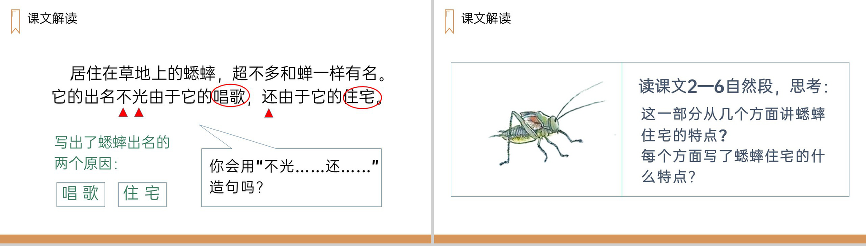 《蟋蟀的住宅》人教版四年级上册语文PPT课件-6