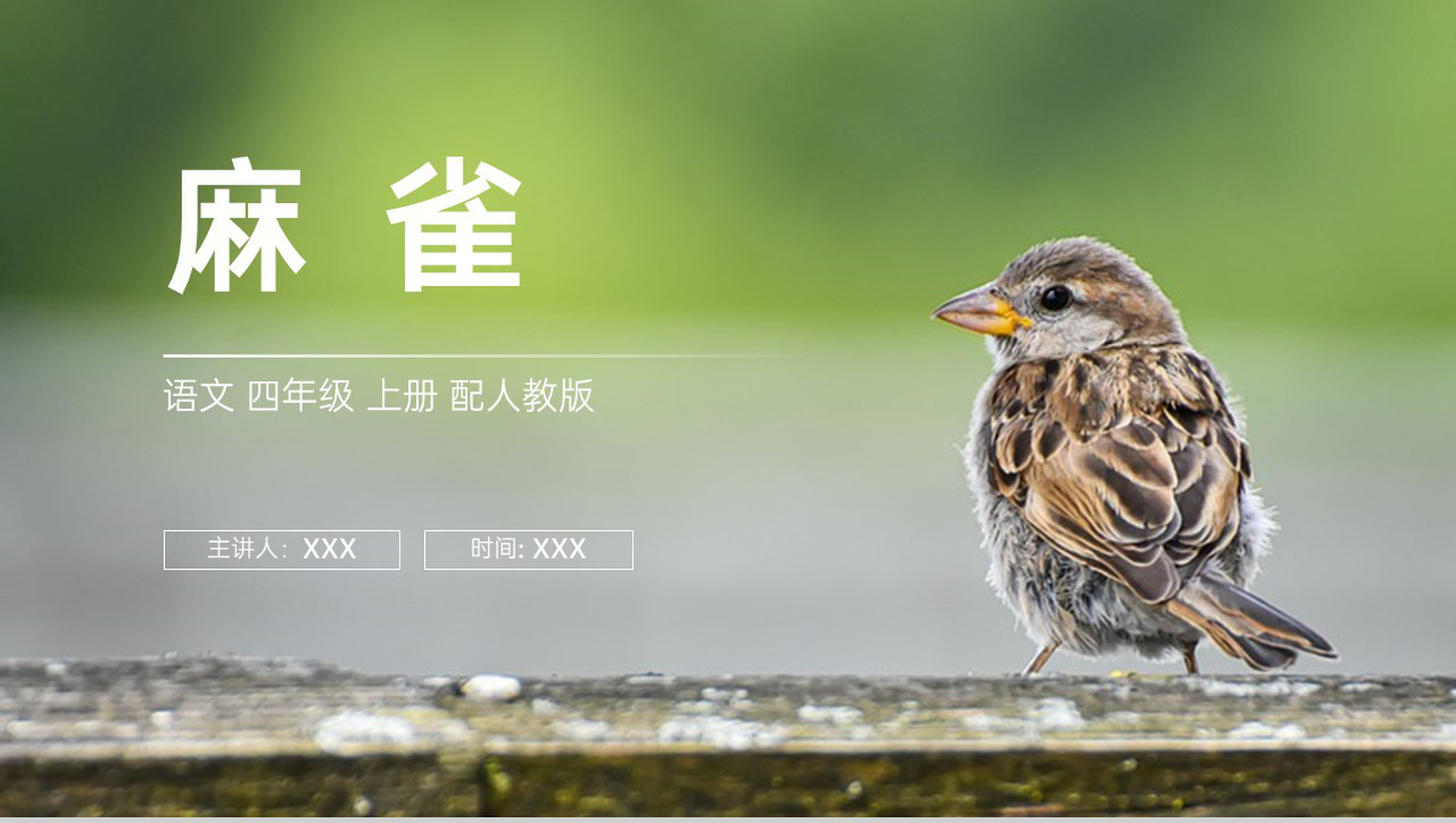 《麻雀》人教版四年级上册语文PPT课件-1