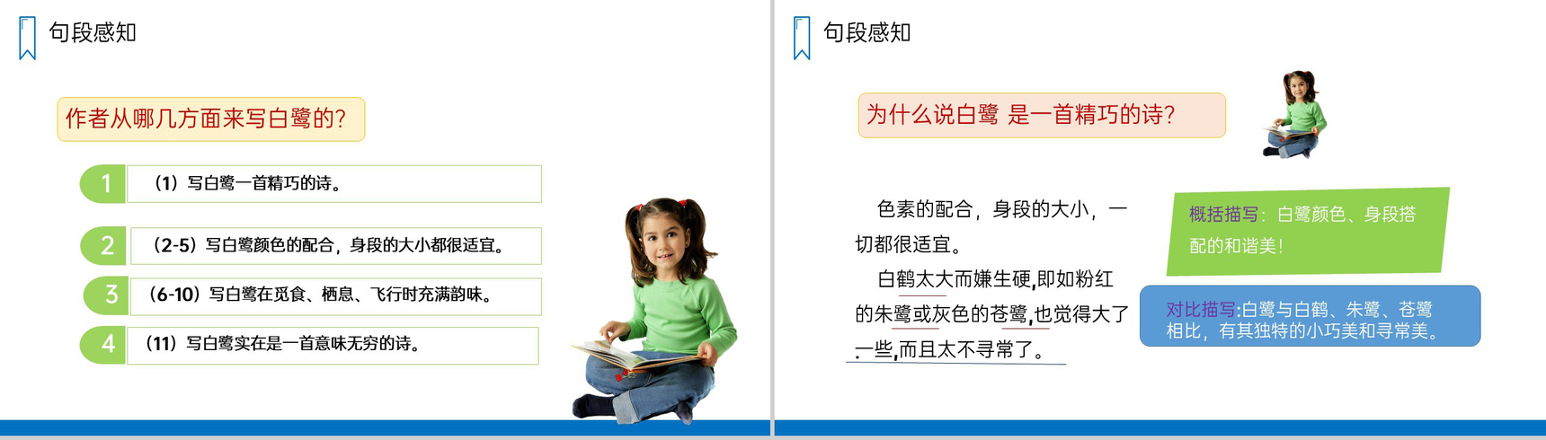 《白鹭》人教版五年级上册语文PPT课件-4