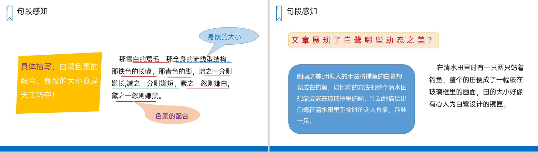 《白鹭》人教版五年级上册语文PPT课件-5
