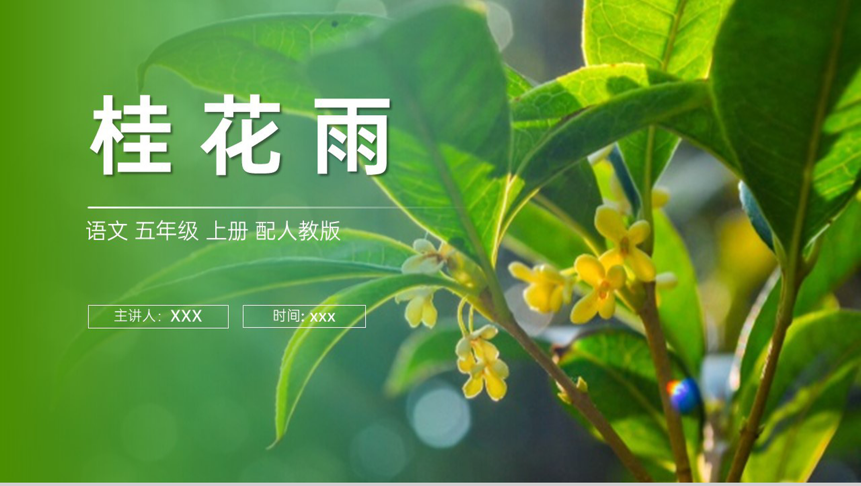 《桂花雨》人教版五年级上册语文PPT课件-1