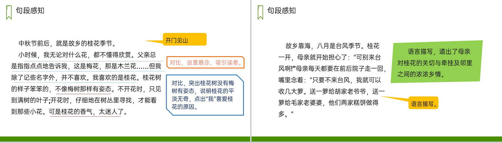 《桂花雨》人教版五年级上册语文PPT课件-4