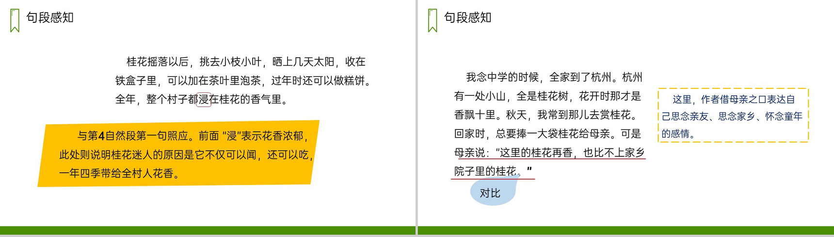 《桂花雨》人教版五年级上册语文PPT课件-6
