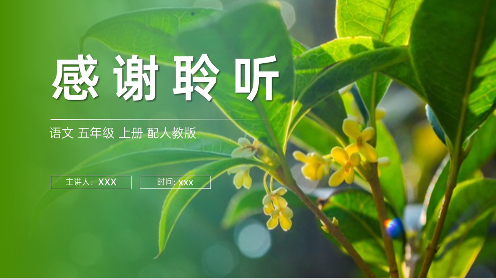《桂花雨》人教版五年级上册语文PPT课件-10