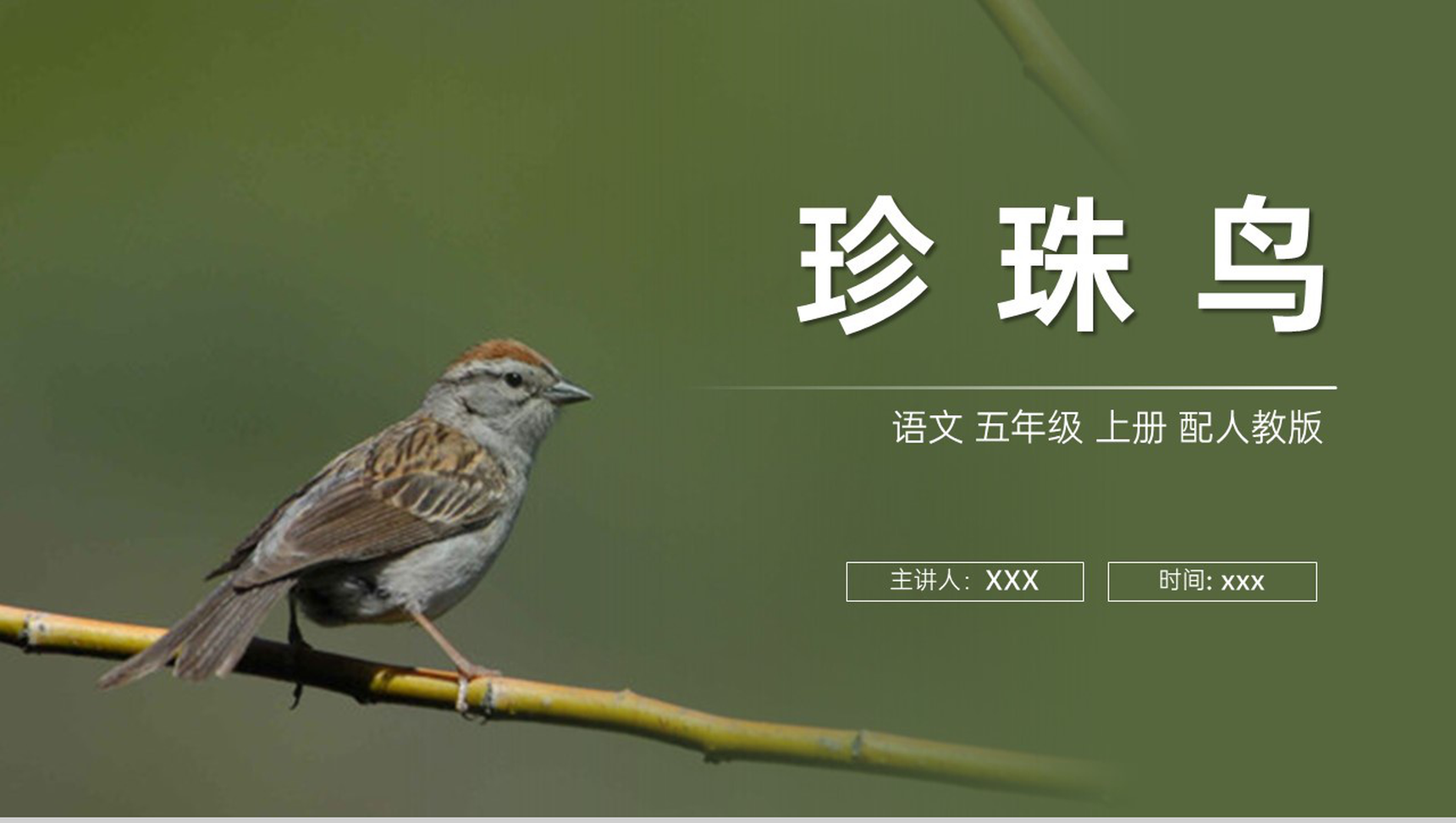 《珍珠鸟》人教版五年级上册语文PPT课件-1