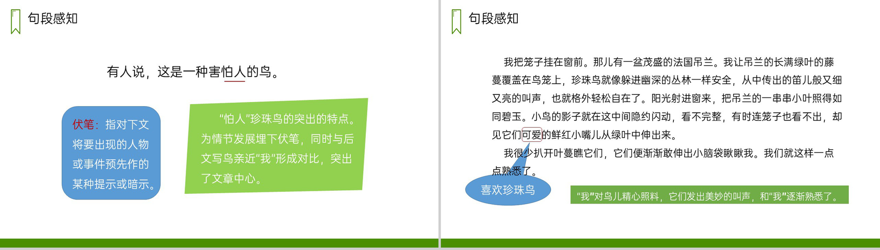 《珍珠鸟》人教版五年级上册语文PPT课件-4