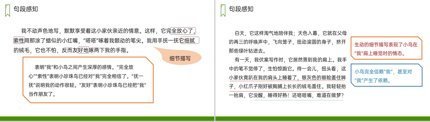 《珍珠鸟》人教版五年级上册语文PPT课件-7
