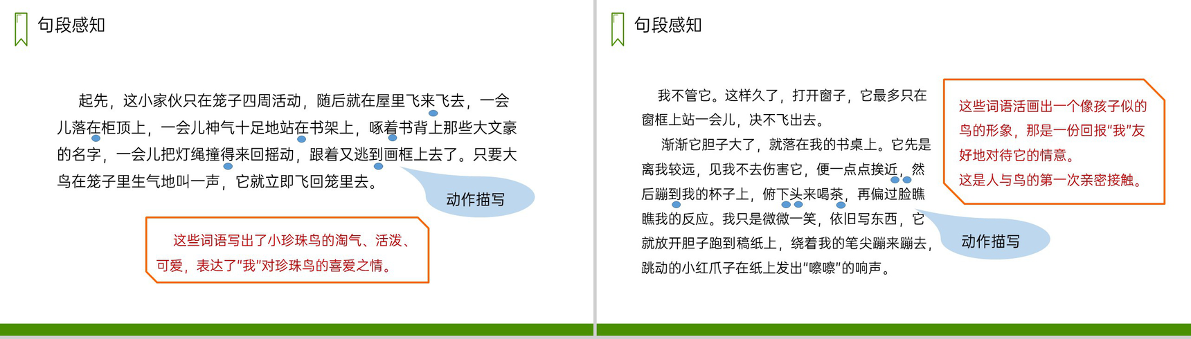 《珍珠鸟》人教版五年级上册语文PPT课件-6