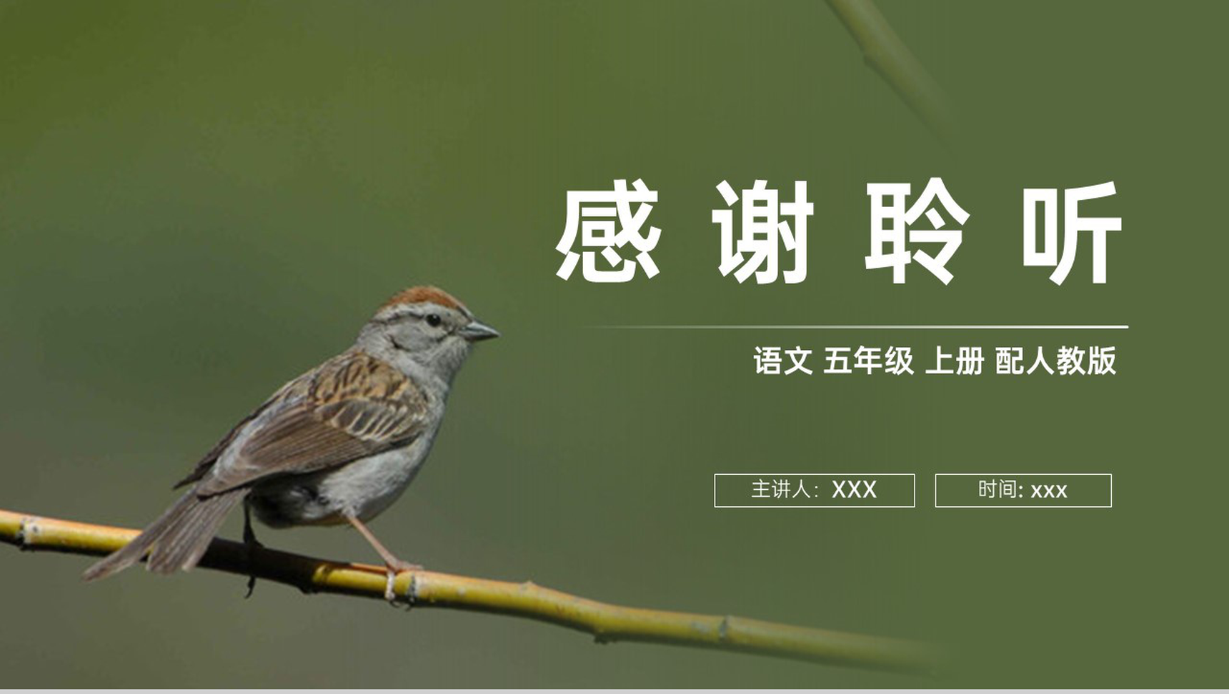 《珍珠鸟》人教版五年级上册语文PPT课件-10