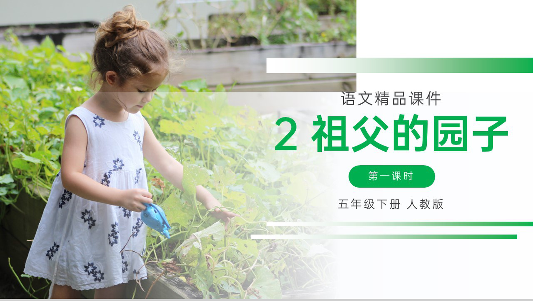 《祖父的园子》人教版五年级下册语文精品PPT课件-1
