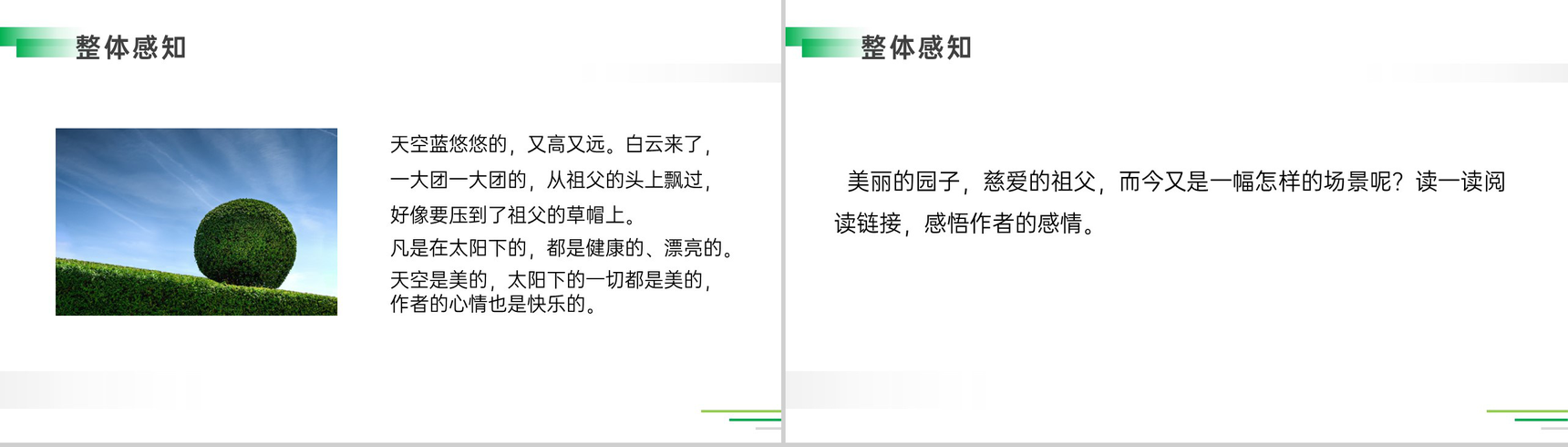 《祖父的园子》人教版五年级下册语文精品PPT课件-20