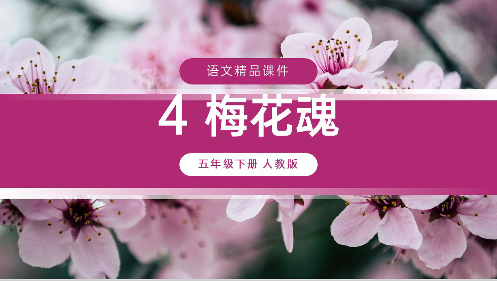 《梅花魂》人教版五年级下册语文精品PPT课件-1