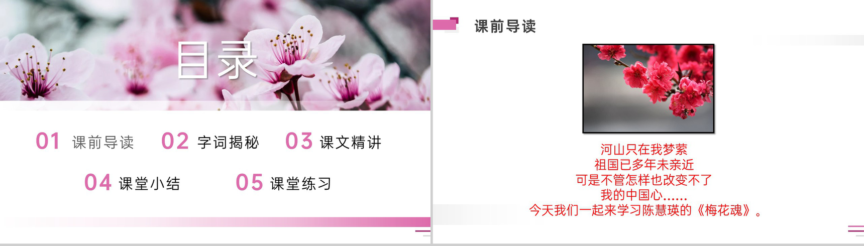 《梅花魂》人教版五年级下册语文精品PPT课件-2