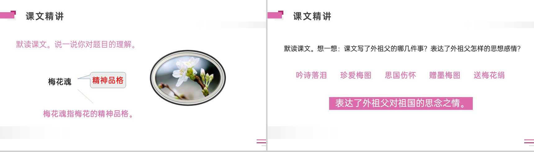 《梅花魂》人教版五年级下册语文精品PPT课件-9