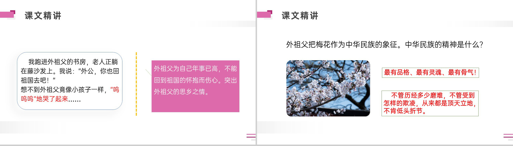 《梅花魂》人教版五年级下册语文精品PPT课件-11