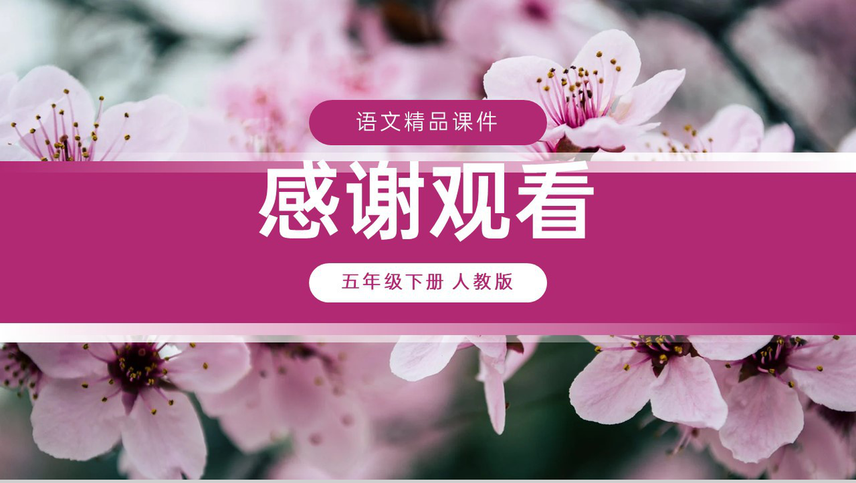 《梅花魂》人教版五年级下册语文精品PPT课件-16
