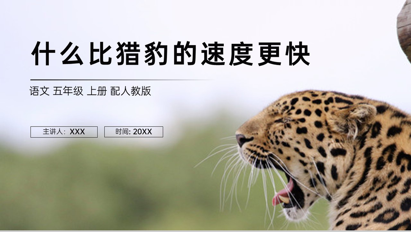 《什么比猎豹的速度更快》人教版五年级上册语文PPT课件-1