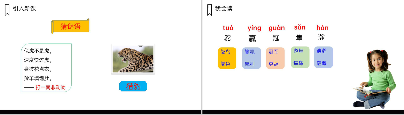 《什么比猎豹的速度更快》人教版五年级上册语文PPT课件-2