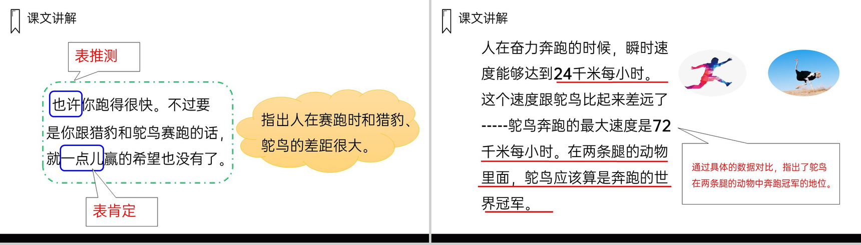 《什么比猎豹的速度更快》人教版五年级上册语文PPT课件-7