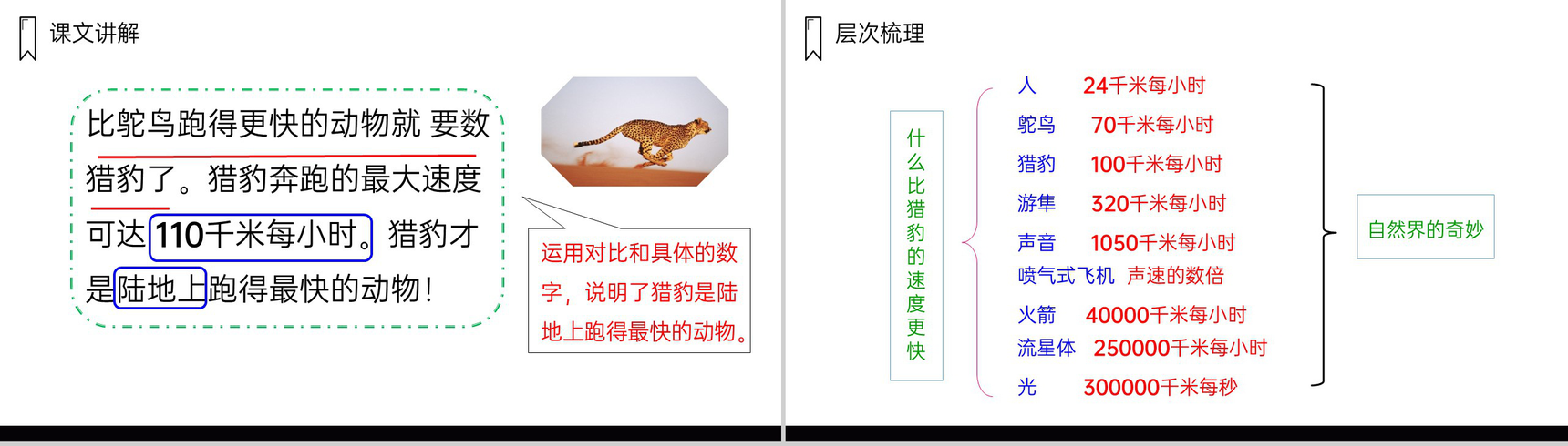 《什么比猎豹的速度更快》人教版五年级上册语文PPT课件-8