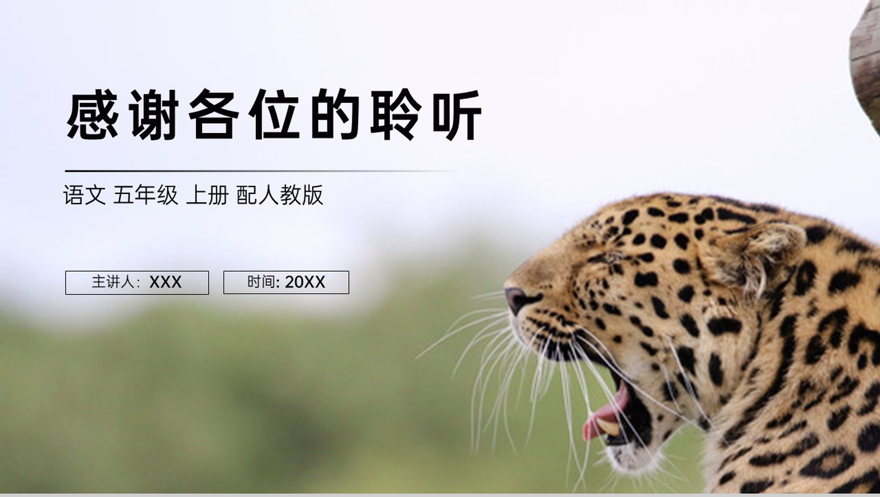 《什么比猎豹的速度更快》人教版五年级上册语文PPT课件-11