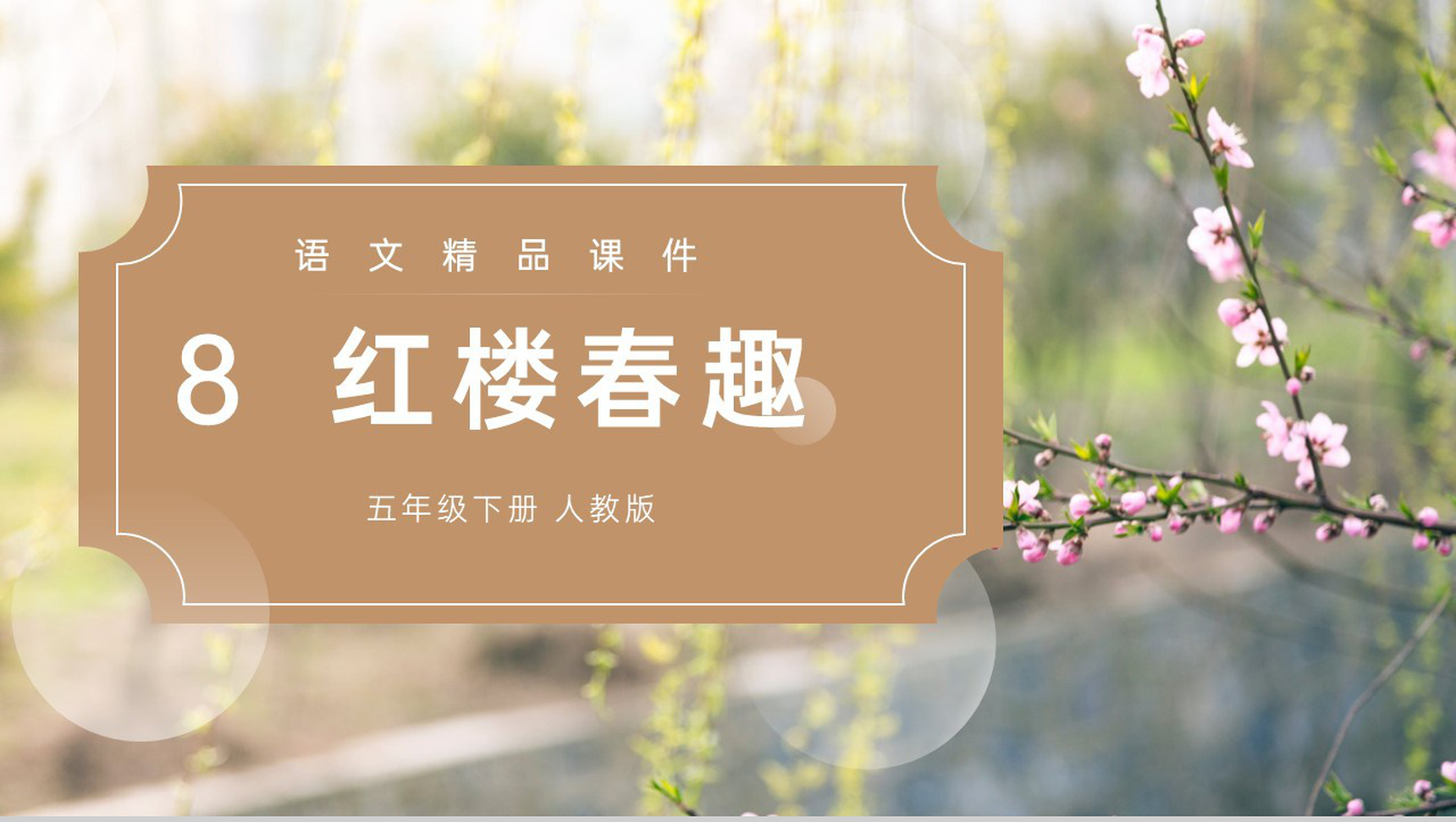 《红楼春趣》人教版五年级下册语文精品PPT课件-1
