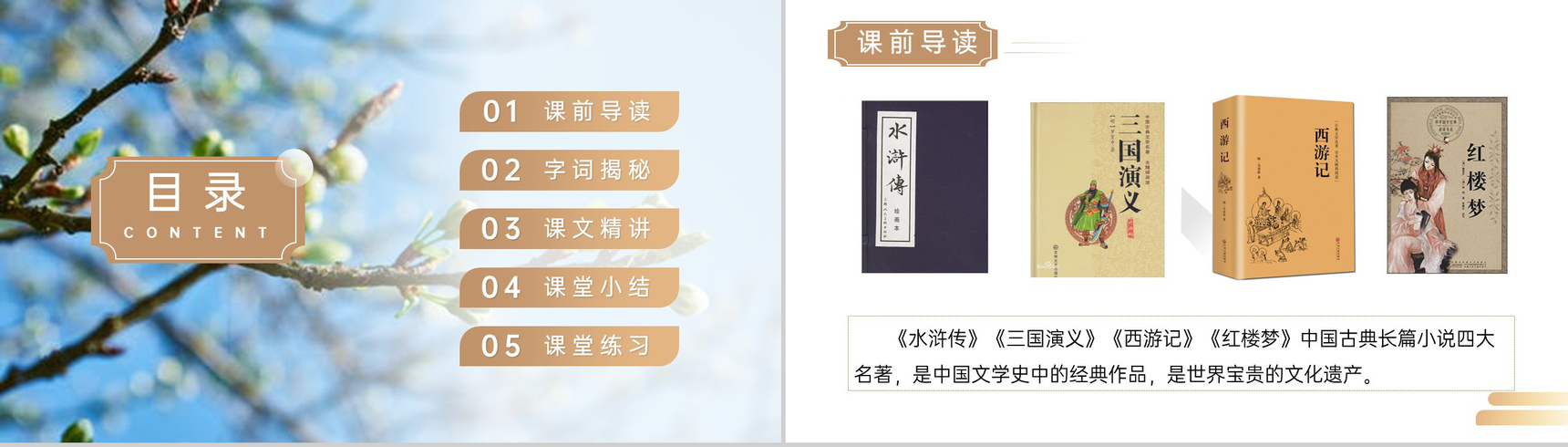 《红楼春趣》人教版五年级下册语文精品PPT课件-2