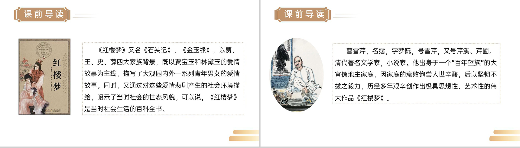 《红楼春趣》人教版五年级下册语文精品PPT课件-3