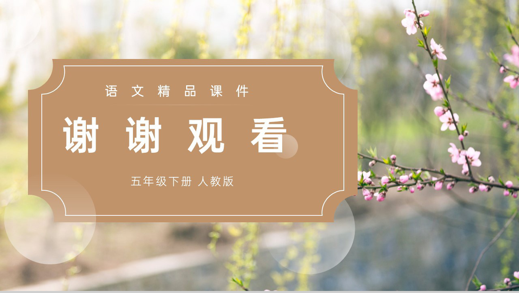 《红楼春趣》人教版五年级下册语文精品PPT课件-15