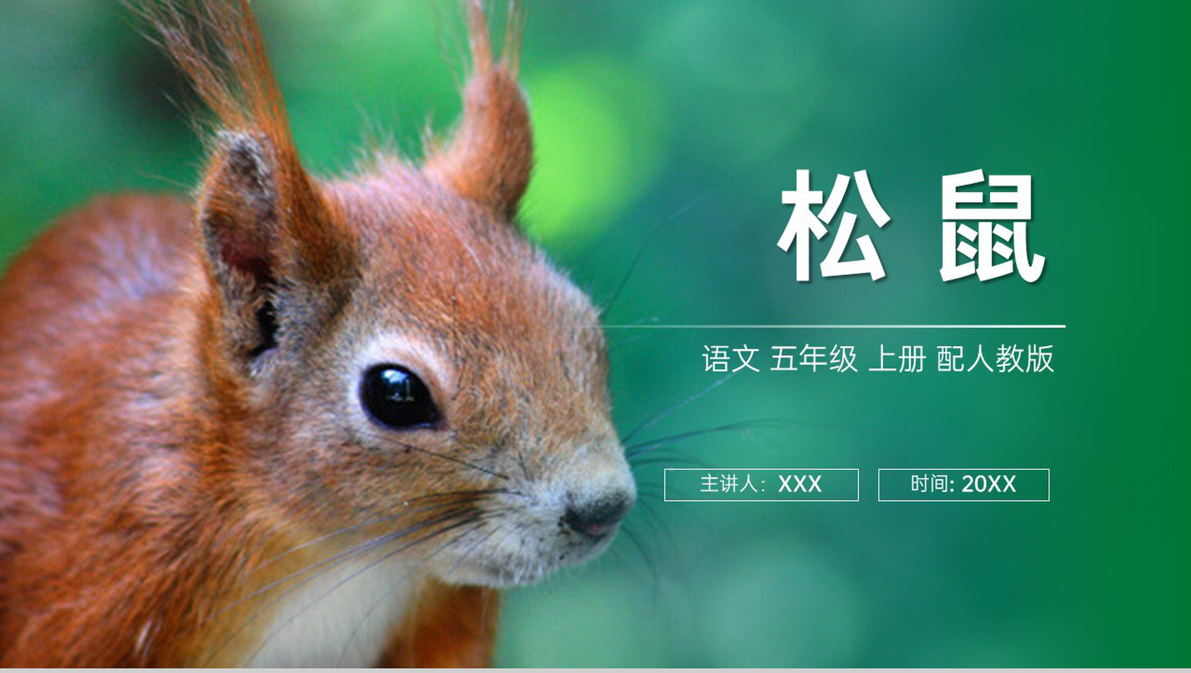 《松鼠》人教版五年级上册语文PPT课件-1