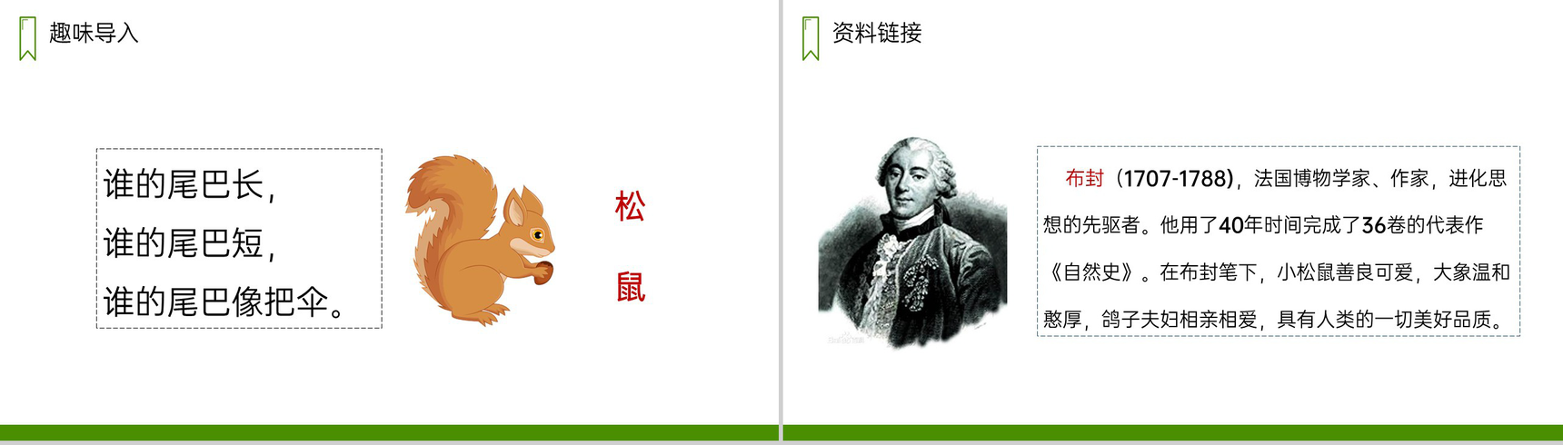 《松鼠》人教版五年级上册语文PPT课件-2