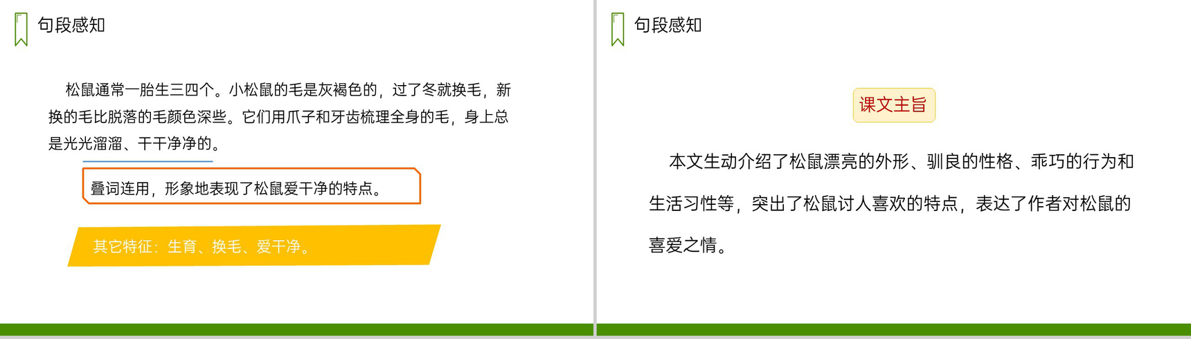 《松鼠》人教版五年级上册语文PPT课件-6