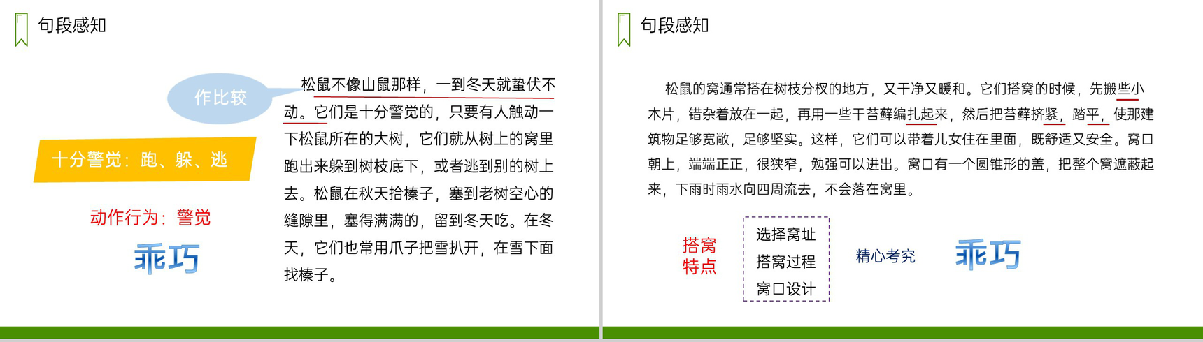 《松鼠》人教版五年级上册语文PPT课件-5